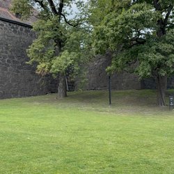 Kontraskjæret