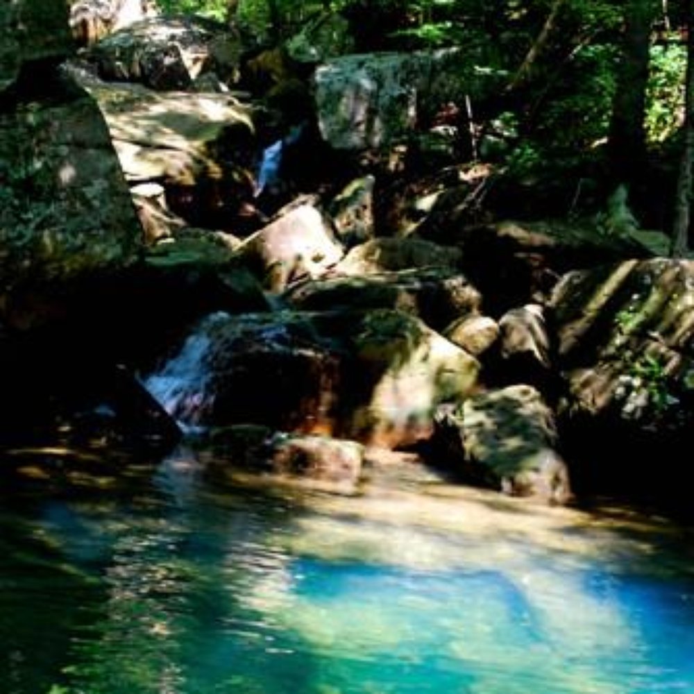 December 2025 Lake Tansi Calendar – Triple C Realty \u0026 Auction, image size:1000x1000