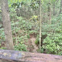 Spanish Fort Estates Trails