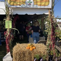 Common Ground Fair