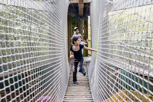 Jungle Island by null