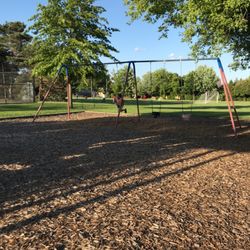 Washington Park - Swing to the moon