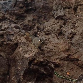 Wind Cave Trail - December 2016 - Hiking Near Me - Mesa, Arizona
