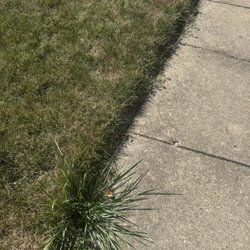 Loyalty Lawn Care
