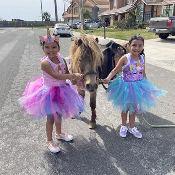 Pony Party For You - Amusement Parks Near Me - Rialto, California Pony Party For You - Amusement Parks Near Me - Rialto, California