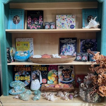 Robin's Noel - Sea Shell display - Home Decor Near Me - Half Moon Bay, California