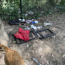 Renaissance Park Dog Park - Trash