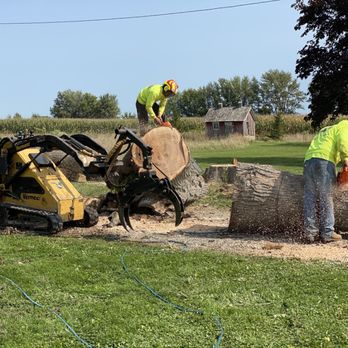 Locust Lawn and Tree Service - two men working on a tree stump - Tree Services Near Me Locust Lawn and Tree Service - two men working on a tree stump - Tree Services Near Me