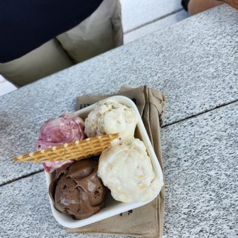Jeni's Splendid Ice Creams - Ice Cream & Frozen Yogurt Near Me - Tampa, Florida Jeni's Splendid Ice Creams - Ice Cream & Frozen Yogurt Near Me - Tampa, Florida
