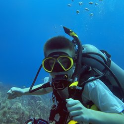 Ray Scuba Diving