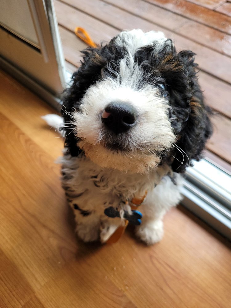 Global Therapy - grief counselor in Bentonville, AR