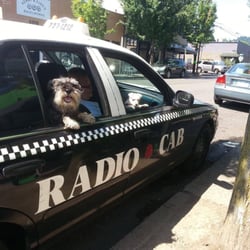 Radio Cab - Pups love Radio Cab.