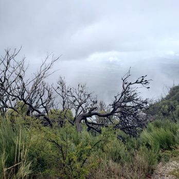Blue Mountains National Park - Parks Near Me - Katoomba, NSW