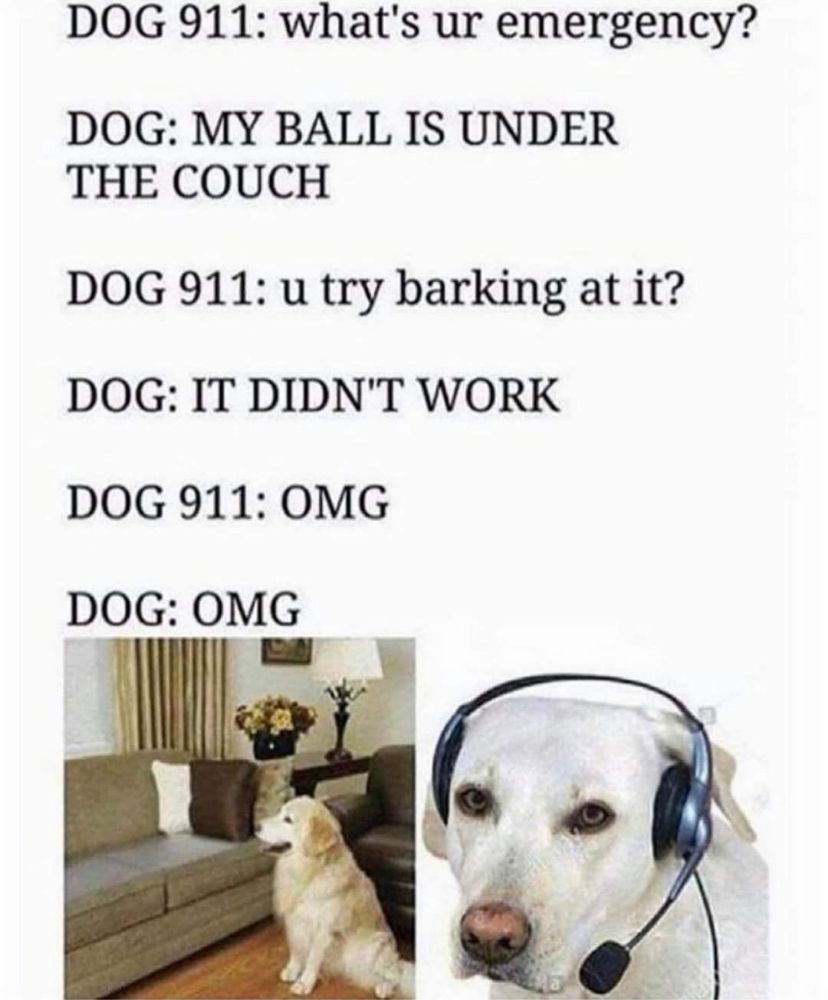 POOP 911 NEW HAMPSHIRE 50 Photos North Hampton, New Hampshire