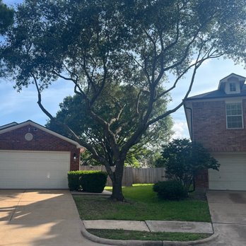 Chavez Trees - Front tree - Tree Services Near Me - Houston, Texas