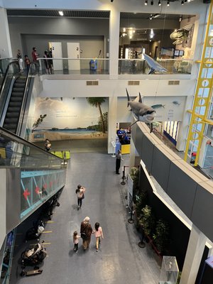 Museum of Discovery and Science by null