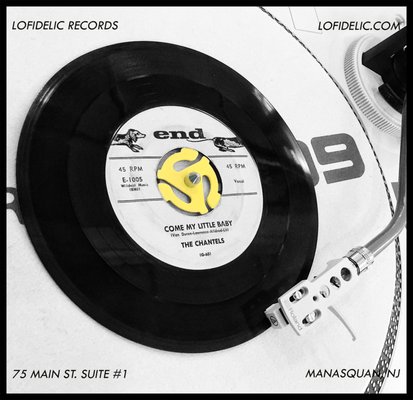 Lofidelic Records by null