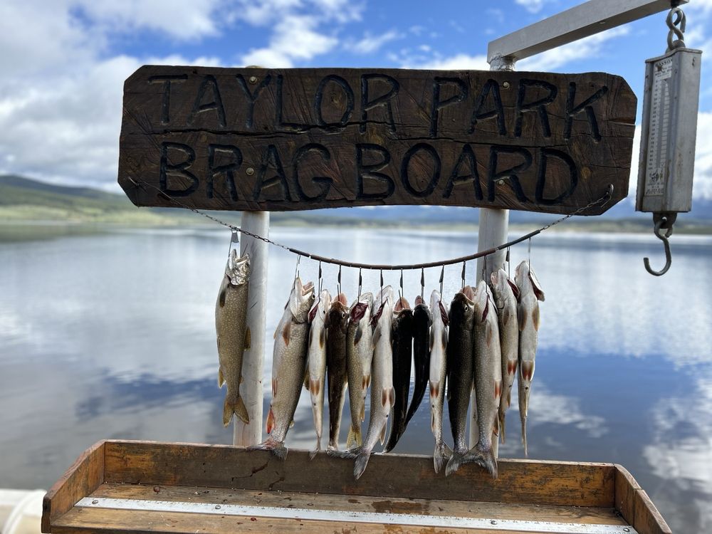 Great fishing!!!