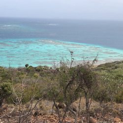Culebrita Beach - Enjoy!