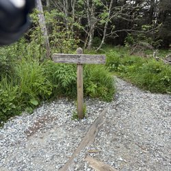 Clingmans Dome