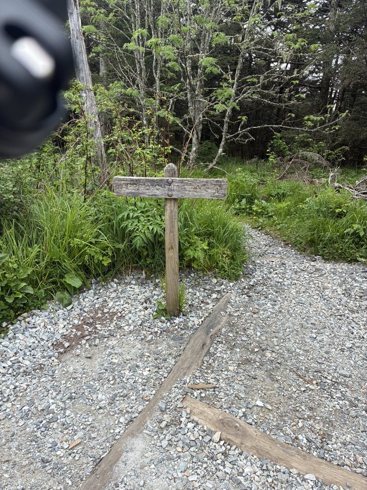 Clingmans Dome Logo