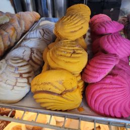 Conchas