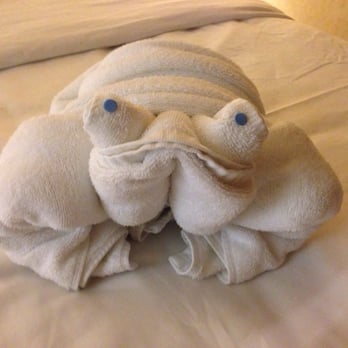 Norwegian Cruise Line - Towel frog - Travel Services Near Me Norwegian Cruise Line - Towel frog - Travel Services Near Me