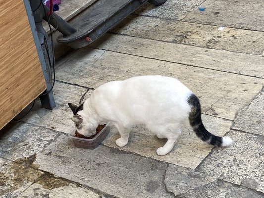 Arasta Bazaar by null