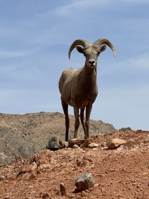 Valley of Fire State Park by null