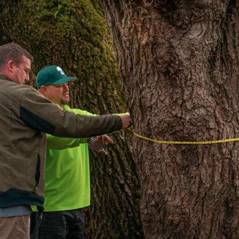 General Tree Service - General Tree Service in Portland, OR - Tree Services Near Me - Portland, Oregon