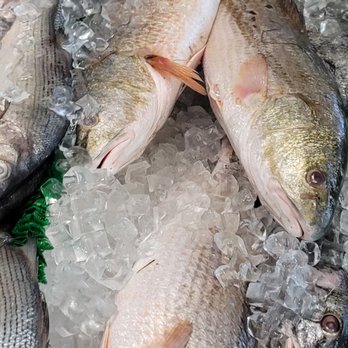 Wild Seafood - Fresh fish - Seafood Markets Near Me - Jessup, Maryland Wild Seafood - Fresh fish - Seafood Markets Near Me - Jessup, Maryland