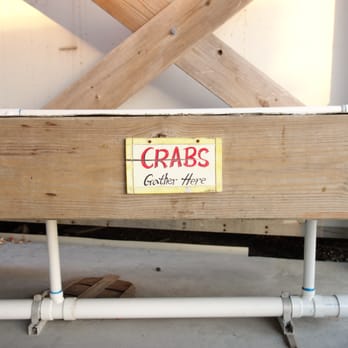 Surf City Crab - Just one of the tanks holding blue crabs - Seafood Markets Near Me - Surf City, North Carolina Surf City Crab - Just one of the tanks holding blue crabs - Seafood Markets Near Me - Surf City, North Carolina