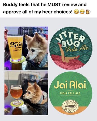 Brew Drinkery by null