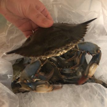 Aquila Seafood - Blue crab - Seafood Markets Near Me - Bon Secour, Alabama