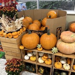 Publix