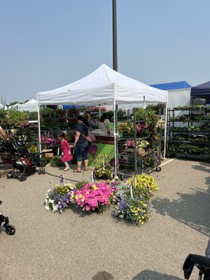 Rochester Farmers Market- Saturdays Graham Park! by null