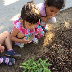 Observing garden