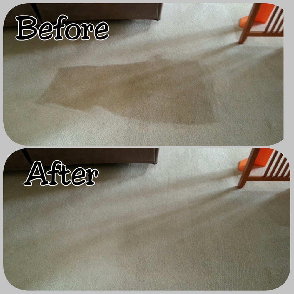 A CLEAN CHOICE CARPET CLEANING, INC Updated May 2024 13 Photos & 13