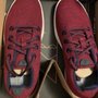 Allbirds