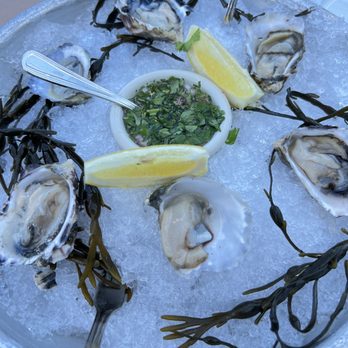The Trident - Seafood Near Me - Sausalito, California The Trident - Seafood Near Me - Sausalito, California