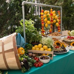 Cocktail Caterers