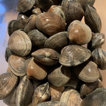 Northwest Fresh Seafood - 2 1/2 lbs of clams - Seafood Markets Near Me - Newberg, Oregon Northwest Fresh Seafood - 2 1/2 lbs of clams - Seafood Markets Near Me - Newberg, Oregon