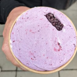 Alice + Brohm Ice Cream - Pint of blackberry! Yum!
