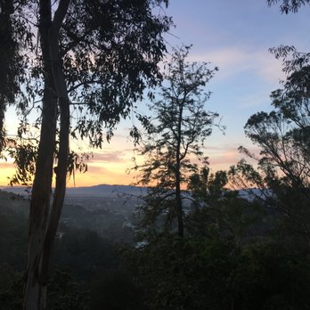 TreePeople - Before the Moonlight Hike. - Community Service/Non-Profit Near Me - Beverly Hills, California