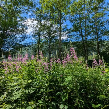 Whitehorse Trail - Hiking Near Me - Darrington, Washington Whitehorse Trail - Hiking Near Me - Darrington, Washington