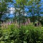 Photo of Whitehorse Trail