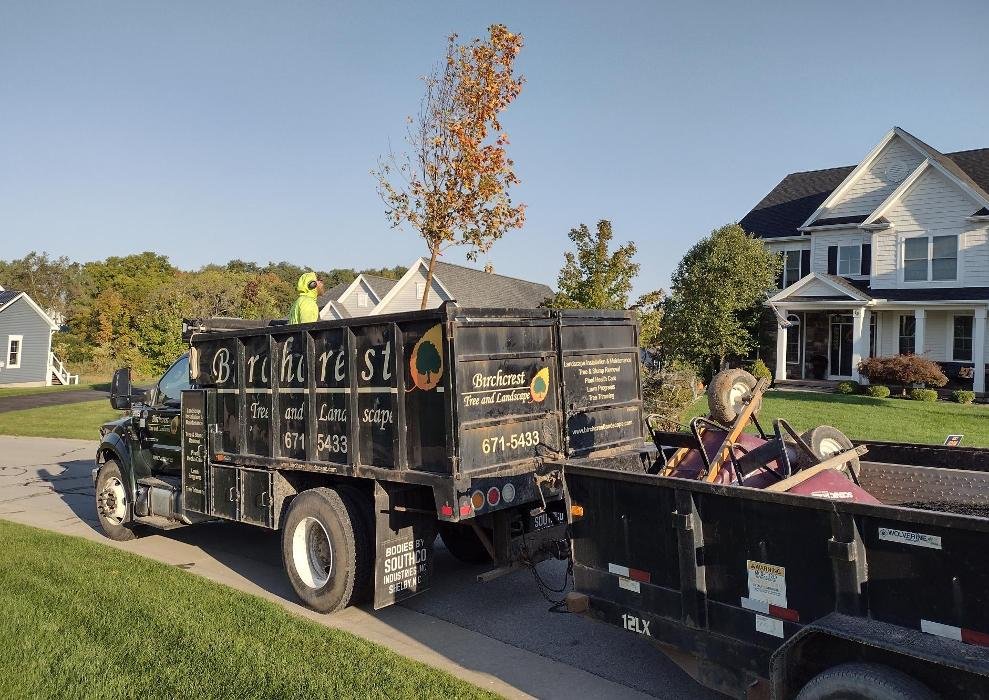 Birchcrest Tree & Landscape - tree service in Rochester, NY