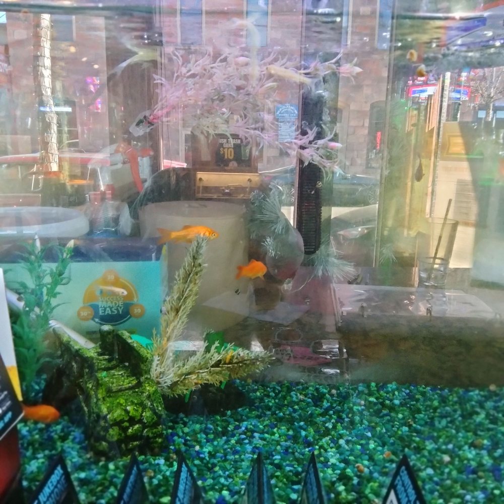 Collins Irish Pub & Grill - Gold fish races on Tuesdays! - Sports Bars Near Me - Flagstaff, Arizona Collins Irish Pub & Grill - Gold fish races on Tuesdays! - Sports Bars Near Me - Flagstaff, Arizona