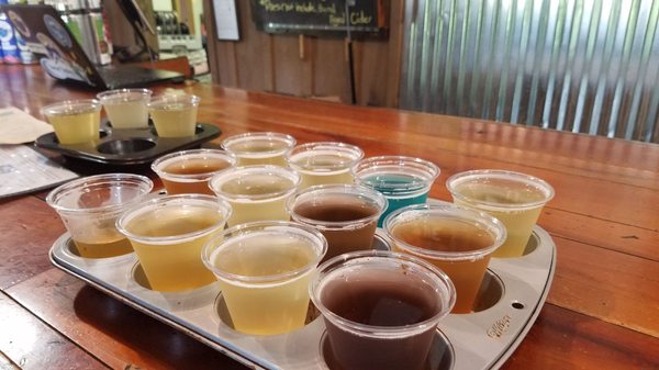 Blue Toad Hard Cider by null