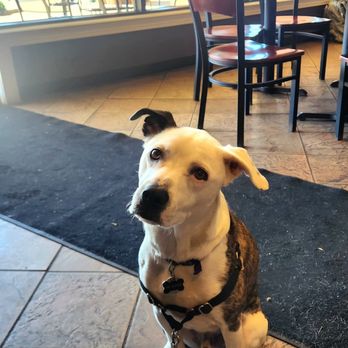 Lulu's Coffee & Bakehouse - Bakeries Near Me - Indianapolis, Indiana